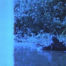 Album artwork for 'Night Window' by Cephalo.