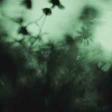 Album artwork for 'Hurry Sickness' by Blossom.